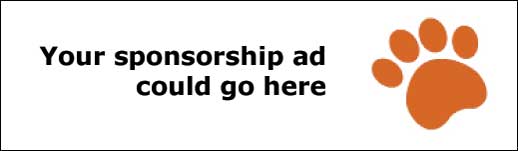 Sponsor Ad