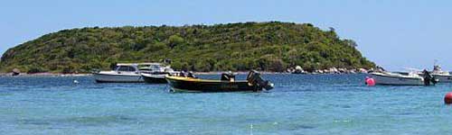 boats