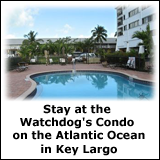 Watchdog condo