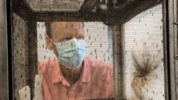 Philip Armstrong, a research scientist at the Connecticut Agricultural Experiment Station, views trapped mosquitoes.