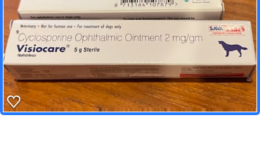 Optimmune Dog Eye Ointment: Save By Ordering Generic